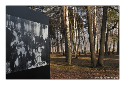 ricordare Auschwitz - Birkenau 30