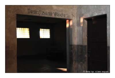 ricordare Auschwitz - Birkenau 35