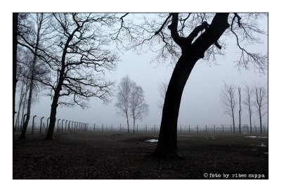 ricordare Auschwitz - Birkenau 52