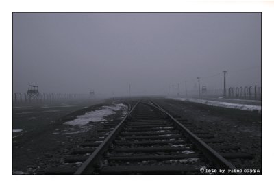 ricordare Auschwitz - Birkenau 54