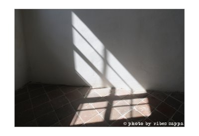 Ricordare il Castello di Hartheim con Mario Limentani - 13