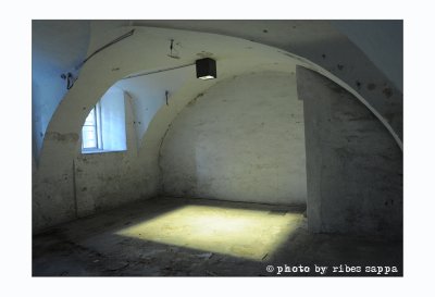 Ricordare il Castello di Hartheim con Mario Limentani - 19