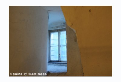 Ricordare il Castello di Hartheim con Mario Limentani - 20