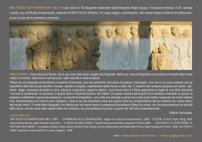 ARA PACIS FOR INSPIRATION ONLY back