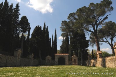 La Scarzuola: uscita dal convento