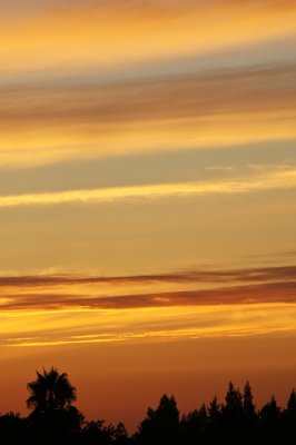 g1/56/782956/3/128741100.OjsPRg4X.jpg