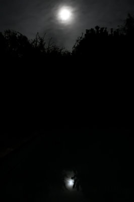 g1/56/782956/3/129766407.oaDoDiqC.jpg