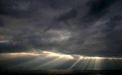 Pelydrau.