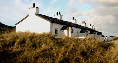 Bythynnod Llanddwyn.