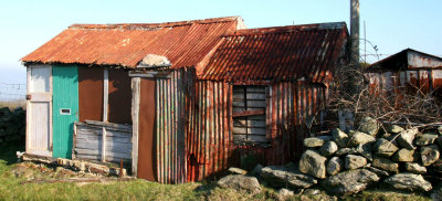 Old Shed.