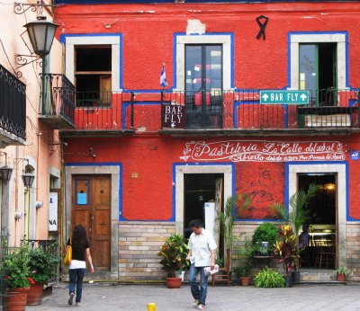 Bar Fly, Guanajuato, Mexico