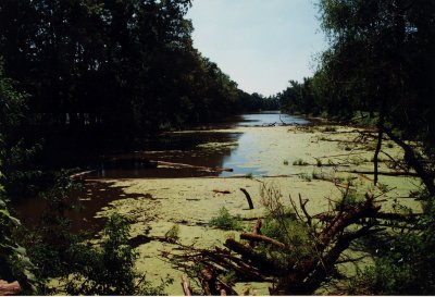 Swamp, Indiana