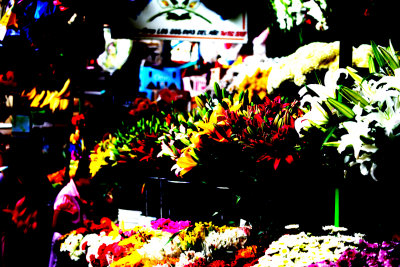 saturation experiment