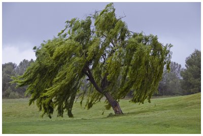 At the golf course