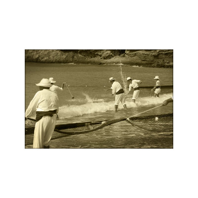 g1/56/807556/3/127716119.Gp8t7rt5.jpg