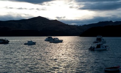 Akaroa Harbour