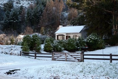 Xmas postcard?