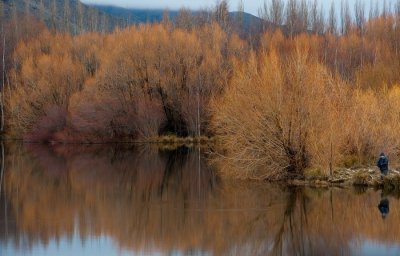 Wairepo Arm - Twizel Omarama Rd