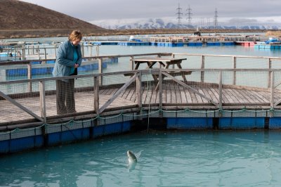 Salmon Farm near Twizel