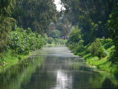 El Canal