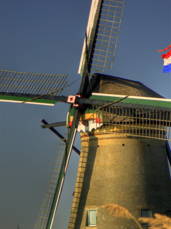 Kinderdijk 03