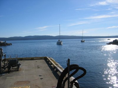 IMG_1019.JPG
