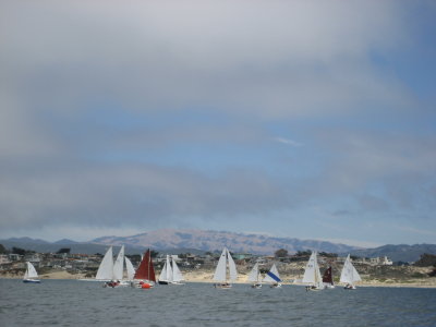Monterey 071.jpg