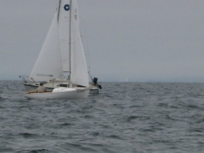 Monterey 012.jpg