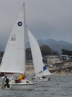 Monterey 024.jpg