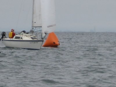Monterey 053.jpg