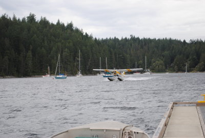DSC_0127.JPG