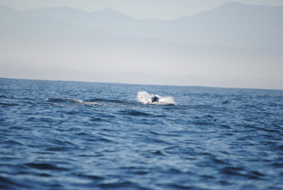 DSC_0114.JPG