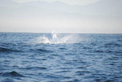 DSC_0112.JPG