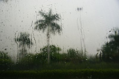 r15.jpg