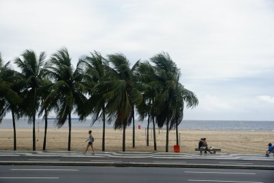 dop4.jpg