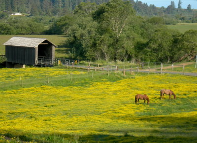 Eureka_covered_bridge.jpg
