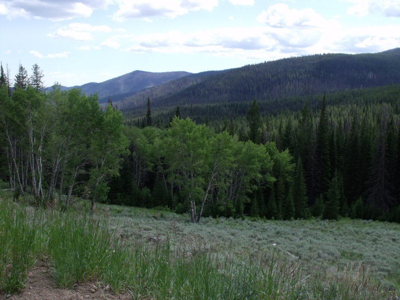 Near Concully