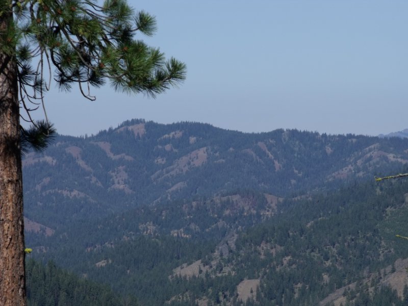 DSCF0362.jpg
