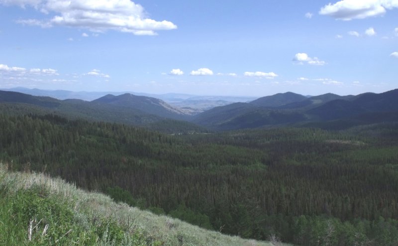 From Harts Pass Rd-2.jpg