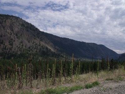 DSCF0177.jpg