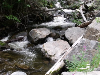 DSCF0190.jpg