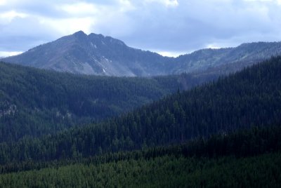 From Harts Pass Rd.jpg