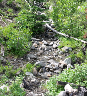 Creek along Salmon Meadows Rd.jpg