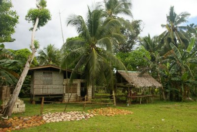 d4.jpg