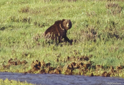 YNP-00010604.jpg