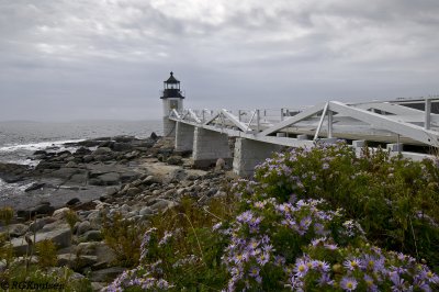 2010 Maine-2-2.jpg