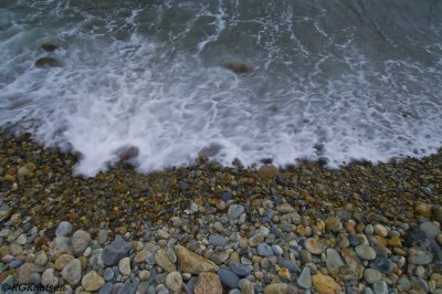 2010 Maine-6565.jpg
