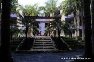 DSC_2365