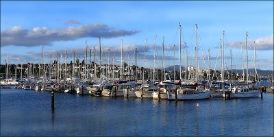 Evening light Hobart Tasmania