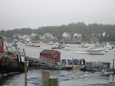 Carver's Harbor